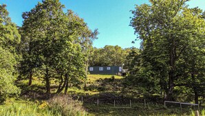 A small house surrounded by trees and a grassy field. - Siskin Lodge - UK39664 (Craobh Haven)