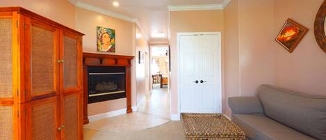 Televisie, een open haard, een dvd-speler en boeken