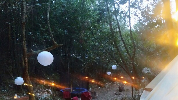 Un área con carpas, mesas y sillas, rodeada de árboles y luces colgantes.