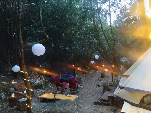 Glamping tent in forest by the sea