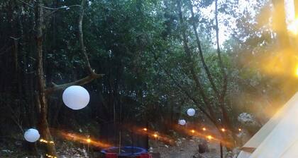 Glamping tent in forest by the sea