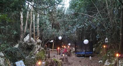 Glamping tent in forest by the sea