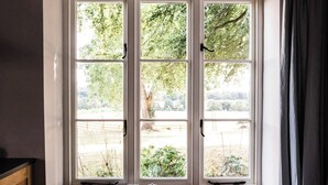 Una ventana con vista a un paisaje arbolado.