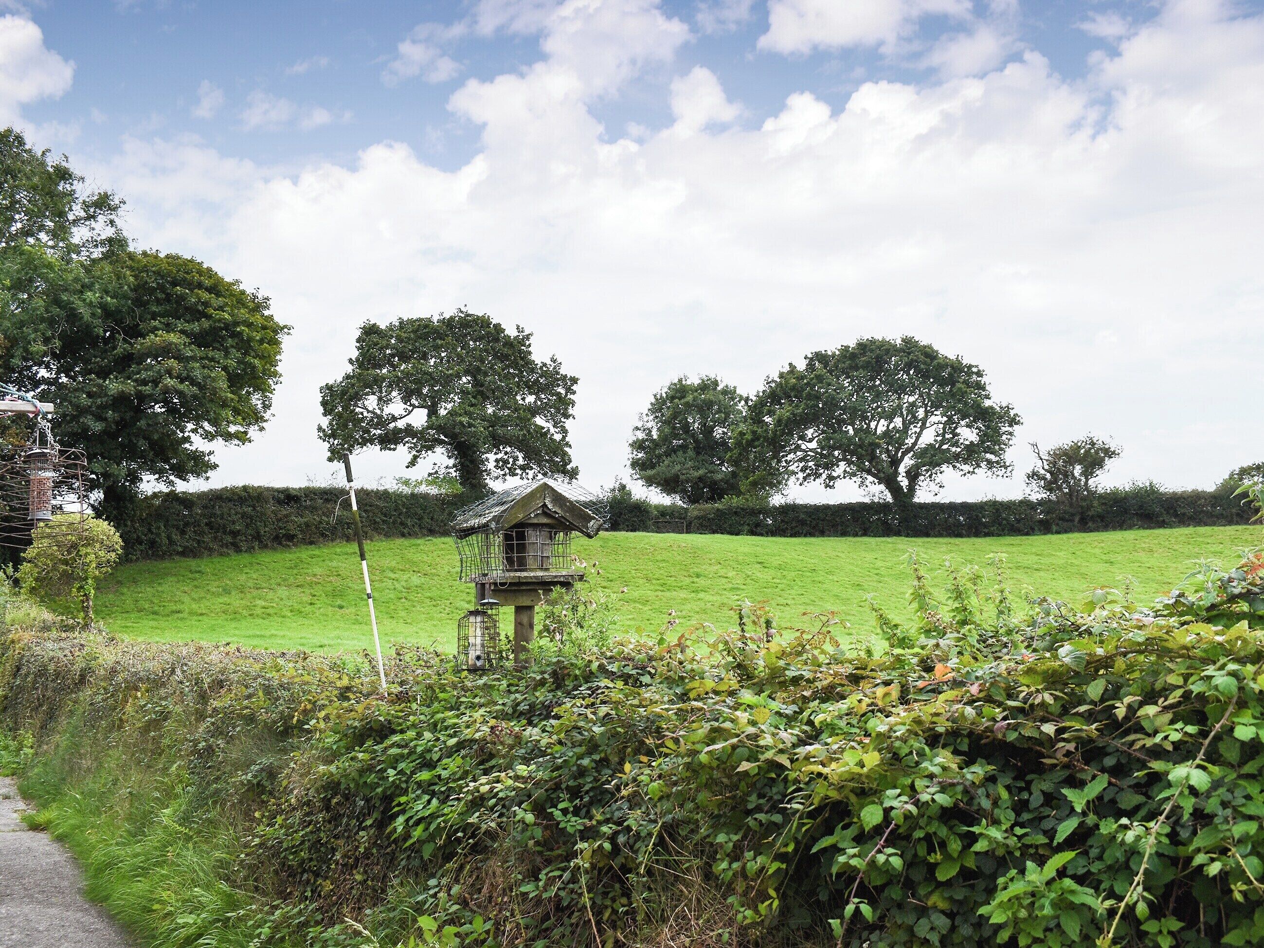 Un paysage rural avec une mangeoire à oiseaux fixée sur un poteau en bois, entourée d’une végétation luxuriante et d’arbres.