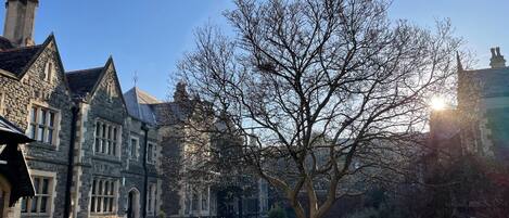 Estudio | Jardines del alojamiento