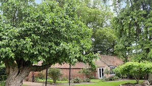 Property grounds - 9 bedroom accommodation in Kings Lynn (Kings Lynn)