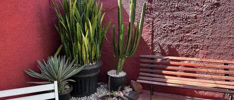 Basic Villa | Property grounds