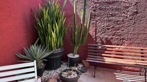 Basic Villa | Property grounds