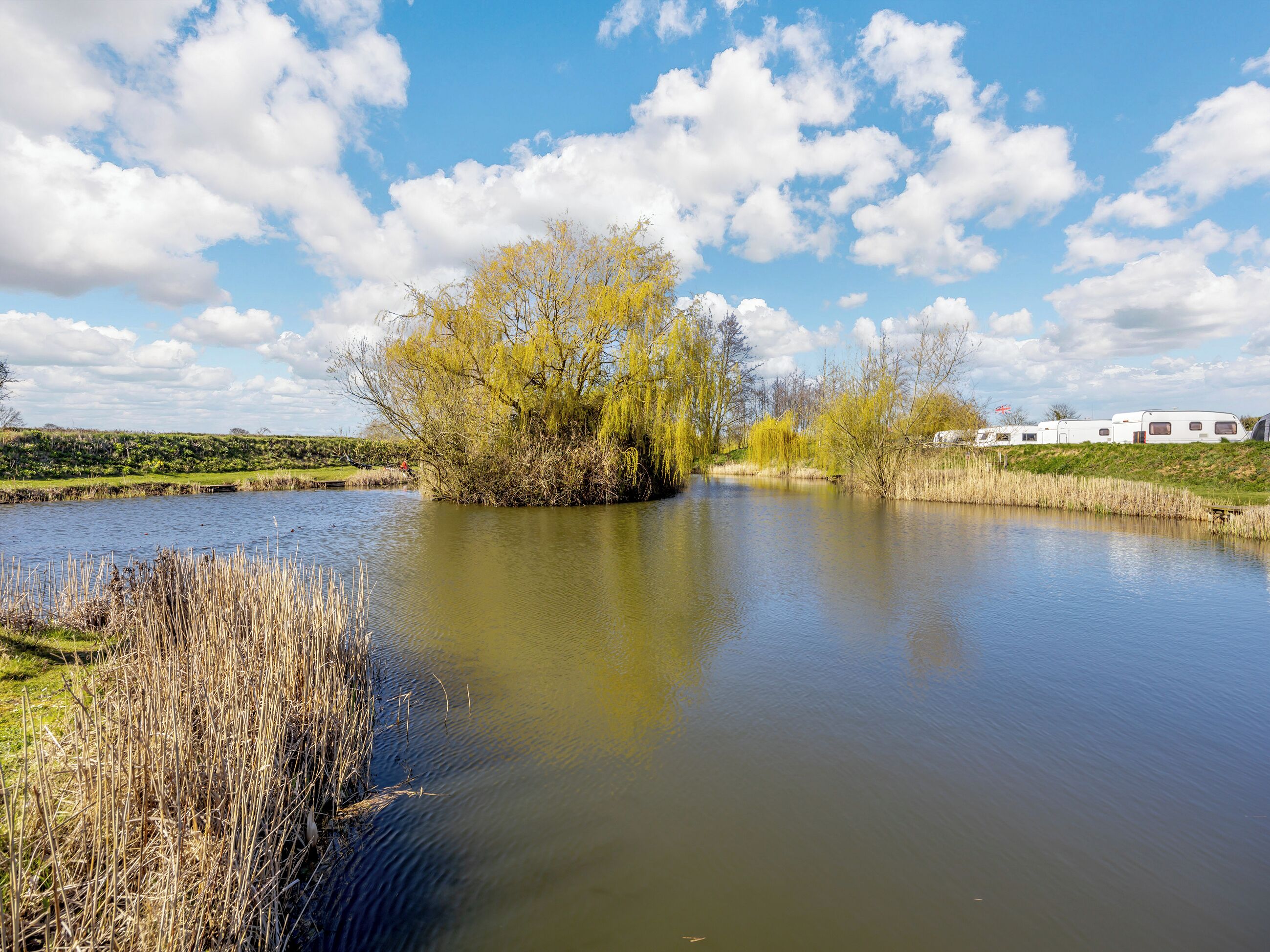 A calm river with willow trees and a row of white RVs on the bank.