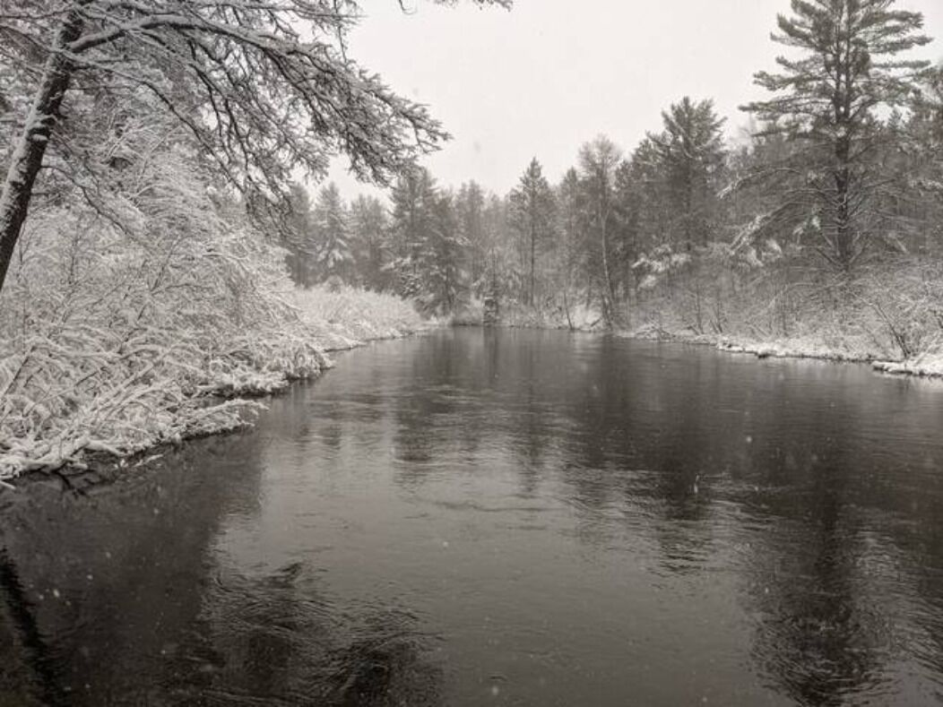 !!!!Manistee River Log Cabin!!!!