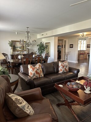 Smart TV, fireplace, DVD player, books