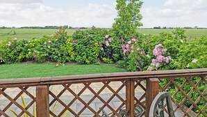Un jardin agrémenté de diverses plantes à fleurs et entouré d’une clôture en bois.