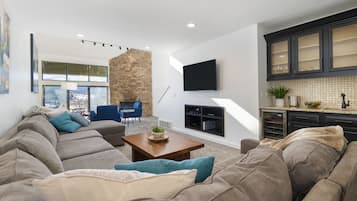 Smart TV, fireplace, books