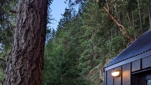 A modern, metallic camper with a transparent dome, parked in a lush forest. - Wildernest Mountainside Airstream Getaway (Bowen Island)