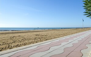 在海灘附近