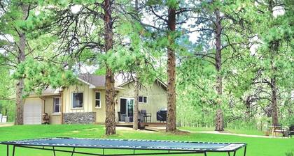Peaceful Forest feel 5ac, Comfy 3bd Monument hidden but close, Deer, USAFA 10mi