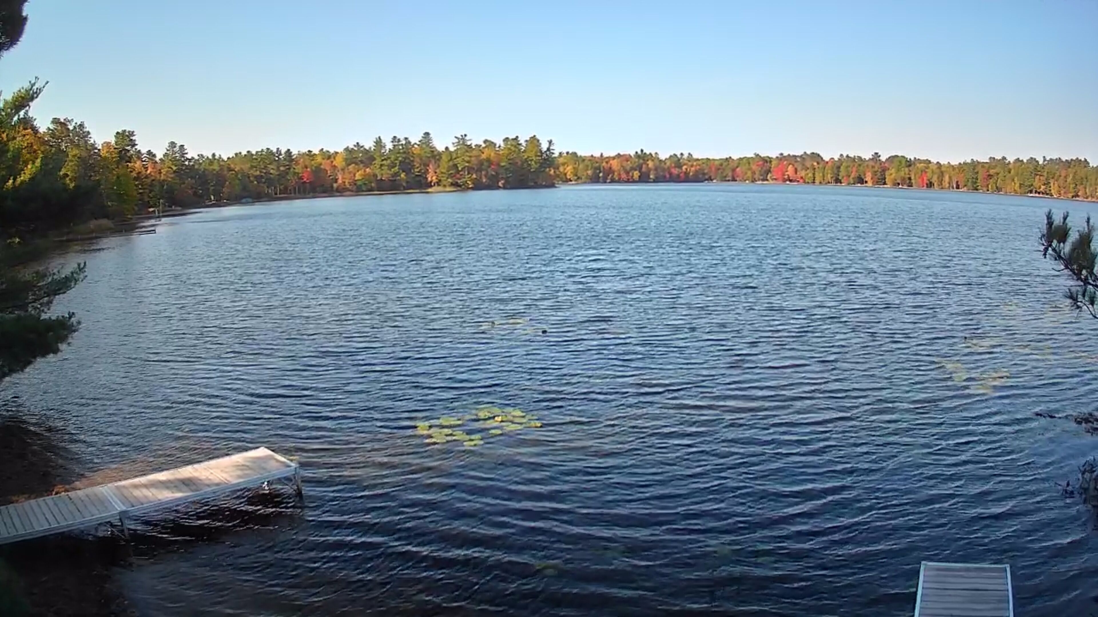 A calm lake with a dock extending into the water, surrounded by dense trees with autumn foliage.