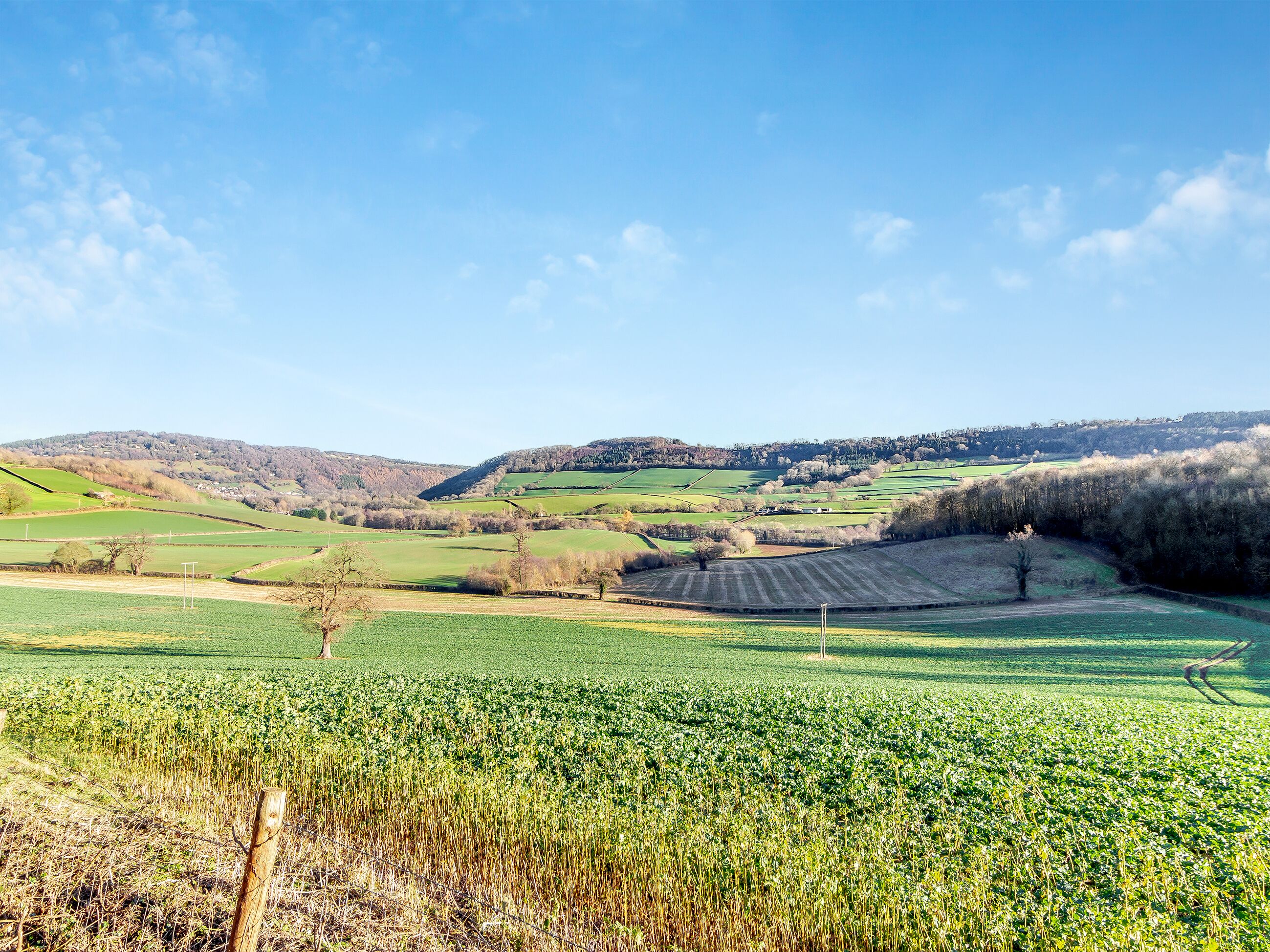 Paesaggio rurale con campi, cielo sereno e colline in lontananza.