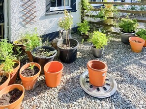 Property grounds - Hobgoblin Apartment - UK42205 (Glendaruel)
