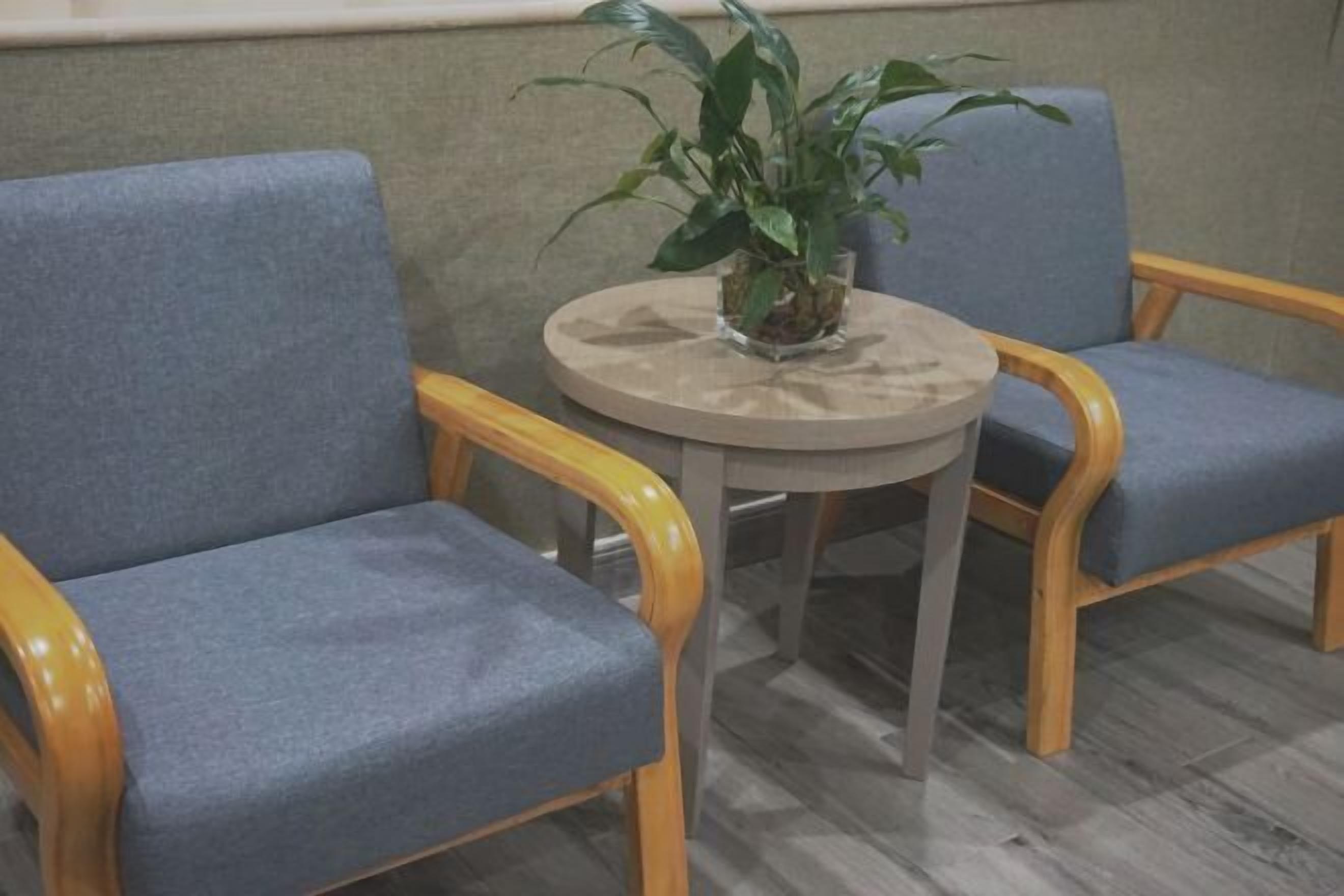 Un rincón de descanso con dos sillones tapizados en azul y una mesa redonda con una planta en maceta.