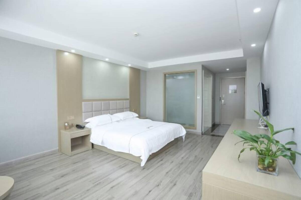 Una habitación de hotel moderna con cama, mesita de noche, televisor y planta en maceta.