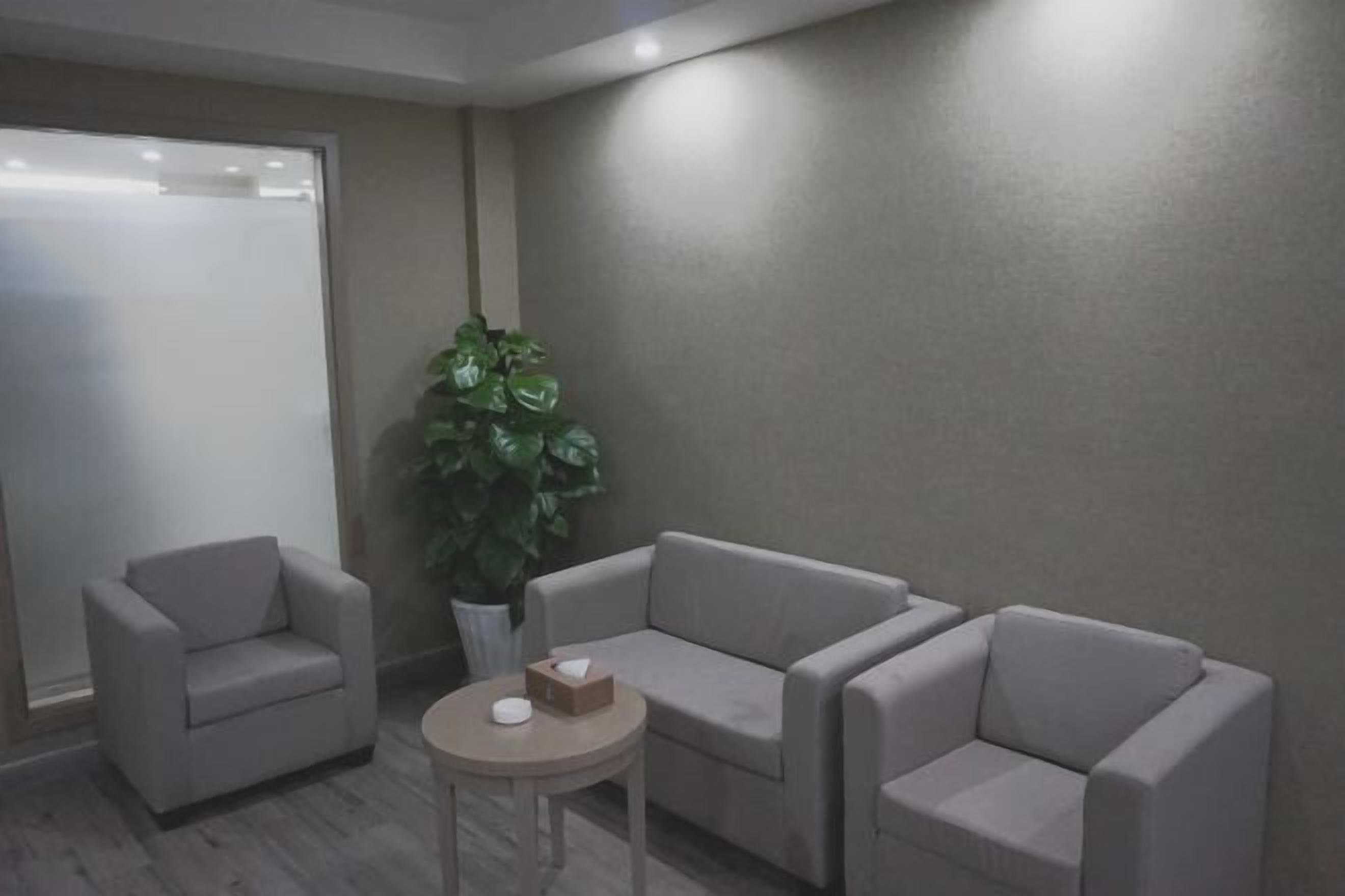 Una habitación con un sofá, una silla, una mesita y una planta en maceta.