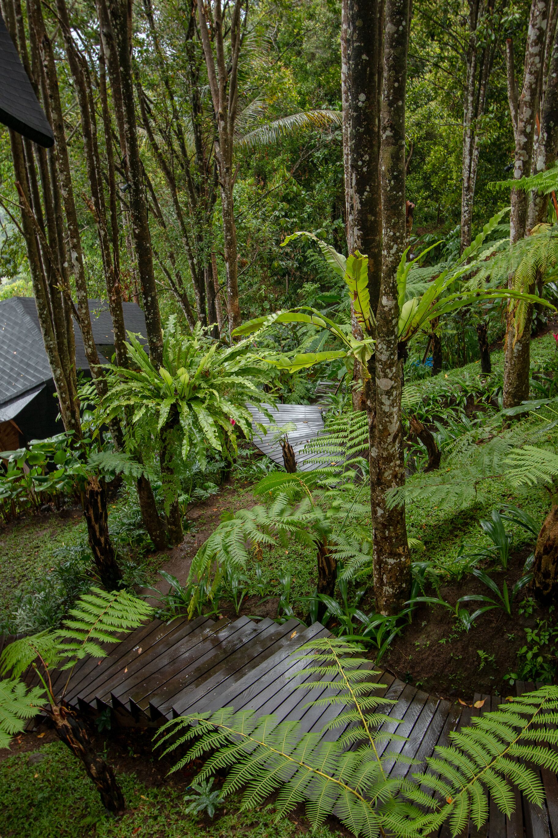 Áreas de la propiedad
