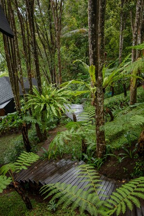 Terrein van de accommodatie