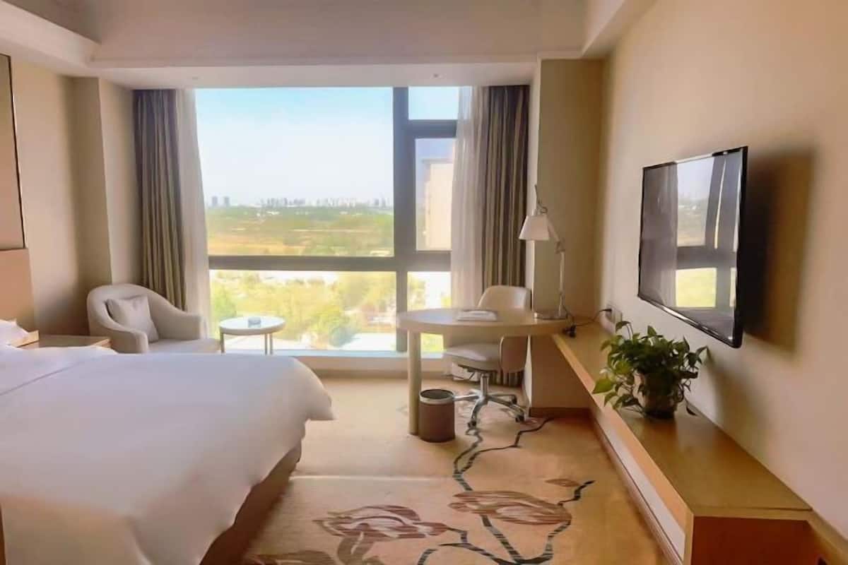 A hotel room with a bed, a desk, a chair, a TV, and a view of the city.