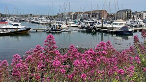 A marina with multiple boats docked, a clear sky, and pink flowers in the foreground. - Wolf Cottage (Weymouth)
