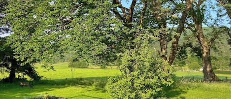 Overnatningsstedets område