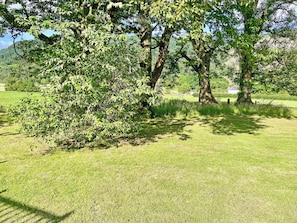 Un champ herbeux avec des arbres et un bâtiment situé au loin.