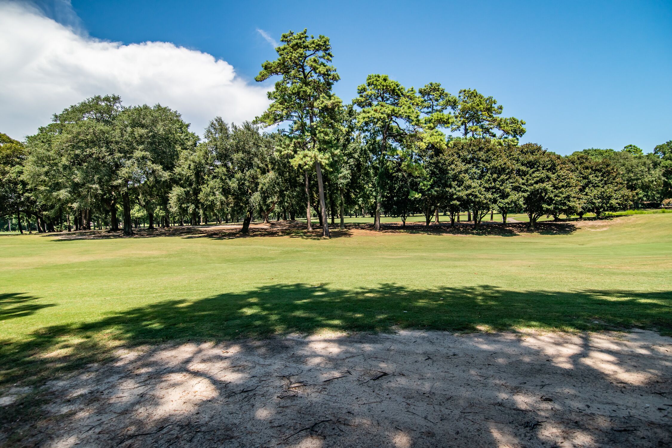 Un campo de golf con cielo despejado, césped verde y árboles.
