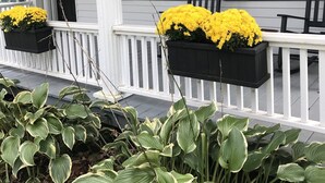 A porch with white railings, black shutters, and yellow flowers in black planters. - Woods Hollow - Upscale renovated home, minutes to All-Star Village (Laurens)