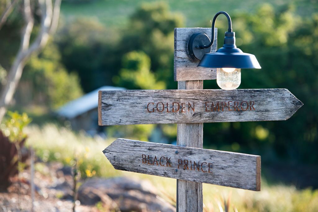 A wooden signpost with directional arrows and a hanging light fixture.