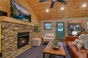TV, fireplace