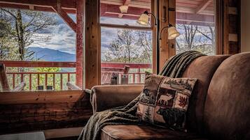 Smart TV, fireplace, video games, books