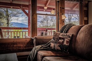 Smart TV, fireplace, video games, books