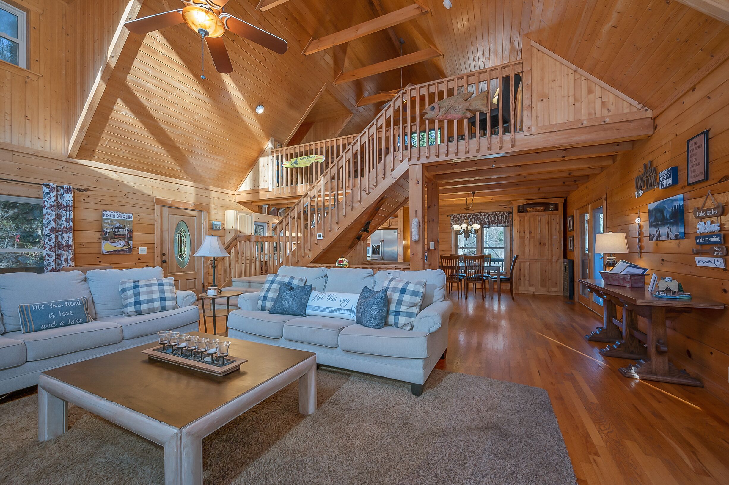 TV connectée, cheminée, lecteur de DVD