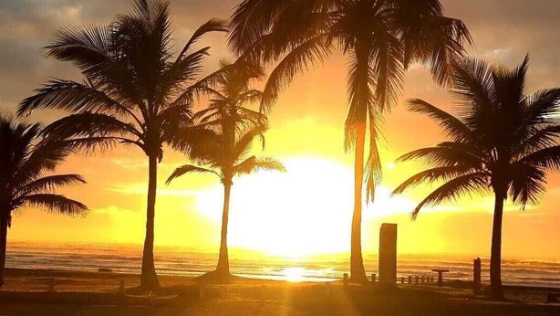 A beach scene with palm trees and a sunset. - CASABLANCA Praia Hotel (Peruíbe)