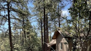 A rustic cabin surrounded by tall pine trees, with a wooden deck and a dirt path leading to the entrance. - Family-sized, quaint cabin on the edge of the US Forest (Strawberry)