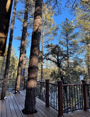 Property grounds - Family-sized, quaint cabin on the edge of the US Forest (Strawberry)