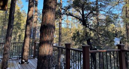 Family-sized, quaint cabin on the edge of the US Forest