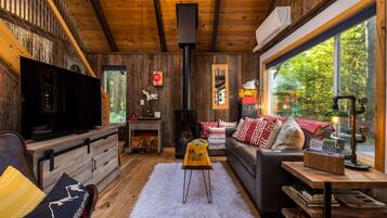 Smart TV, fireplace, books