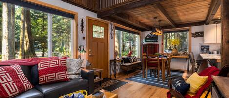 Smart TV, chimenea y libros