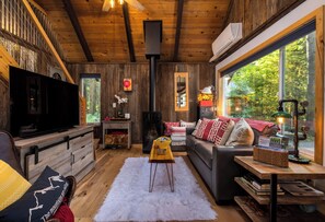 Smart TV, fireplace, books