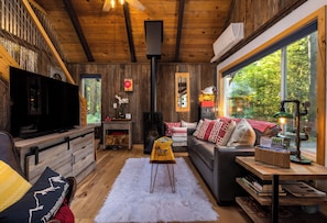 Smart TV, fireplace, books