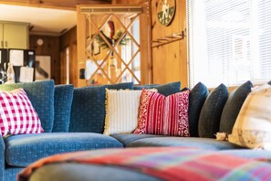 TV connectée, cheminée, lecteur de DVD, livres