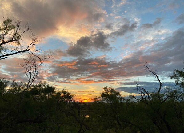 A sunset with a clear sky and trees in the foreground.