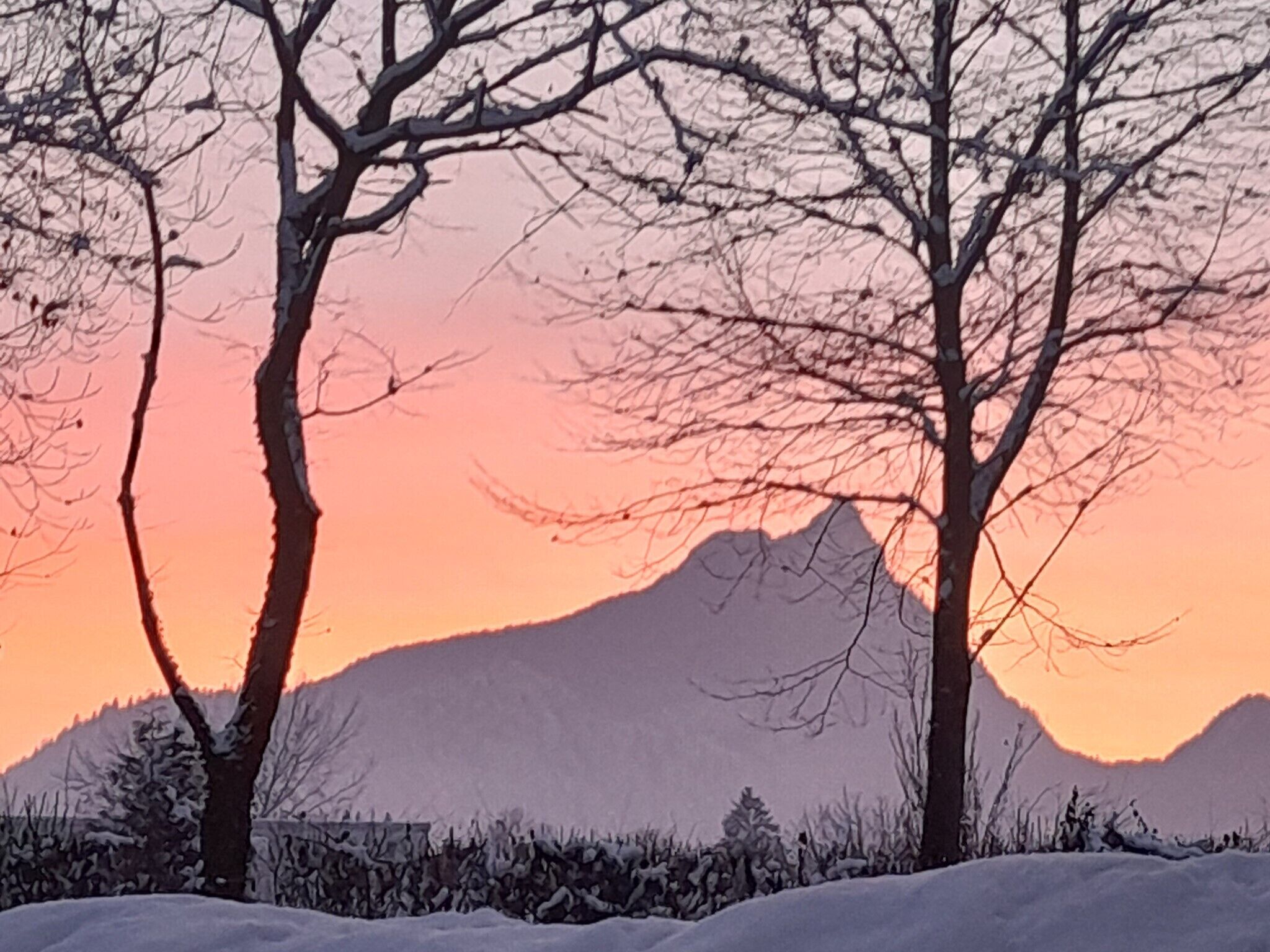 Un paisaje invernal con suelo cubierto de nieve y árboles, una montaña al fondo y un cielo al atardecer.